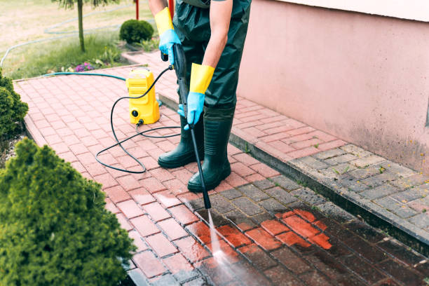 Trusted Walthourville, GA Pressure Washing Experts