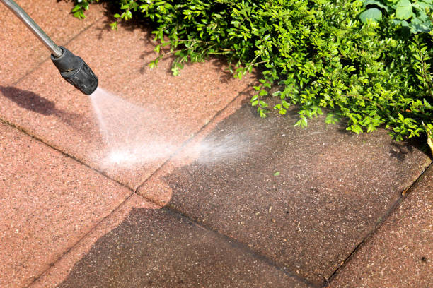 Best Best Pressure Washing Companies  in Walthourville, GA